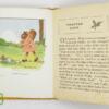 The Adventures of Squirrel Fluffytail - Dolores McKenna 1921 - Image 7