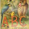 ABC About Birds 1892 - Image 7