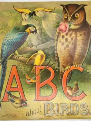 ABC About Birds 1892
