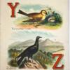 ABC About Birds 1892 - Image 6