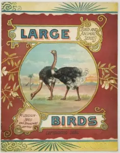 Large Birds - McLoughlin Bros 1886