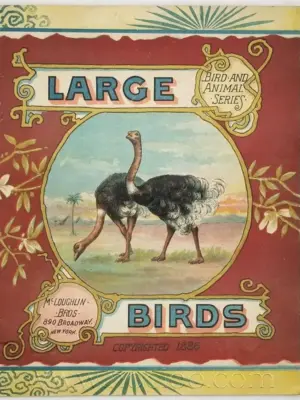 Large Birds - McLoughlin Bros 1886