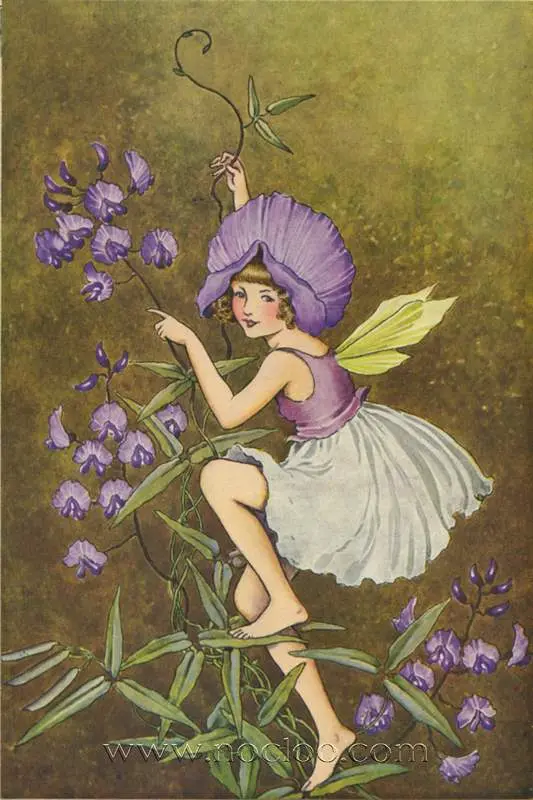 outhwaite flowers05