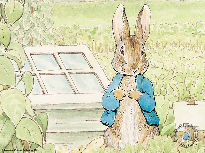 Peter Rabbit Beatrix Potter