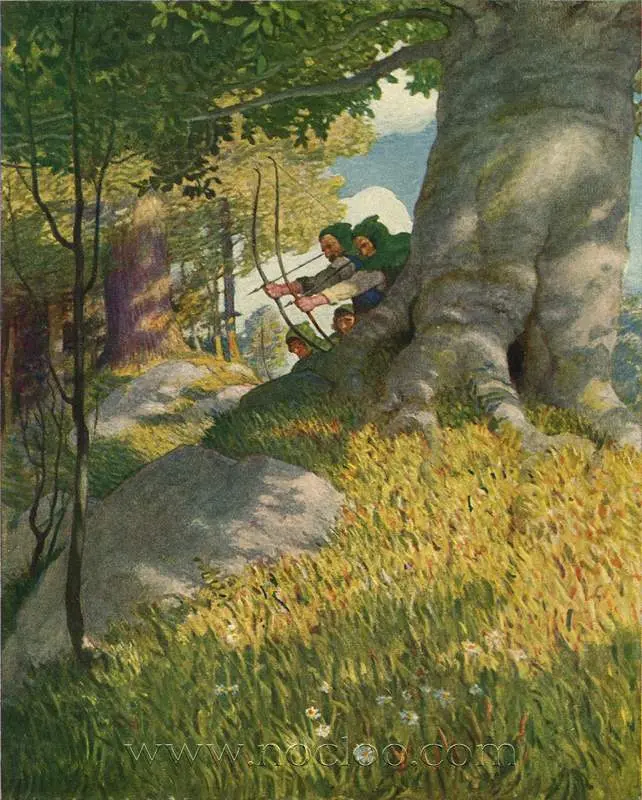N.C. Wyeth Illustrated Books Checklist wyeth robin04