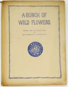 A bunch of wild flowers - Ida Rentoul Outhwaite 1934