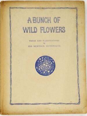 A bunch of wild flowers - Ida Rentoul Outhwaite 1934