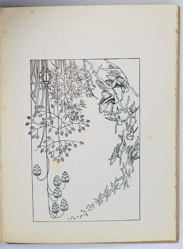 A bunch of wild flowers - Ida Rentoul Outhwaite 1934