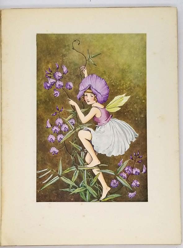 A bunch of wild flowers - Ida Rentoul Outhwaite 1934
