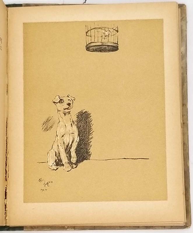 A Dog Day - Cecil Aldin 1902