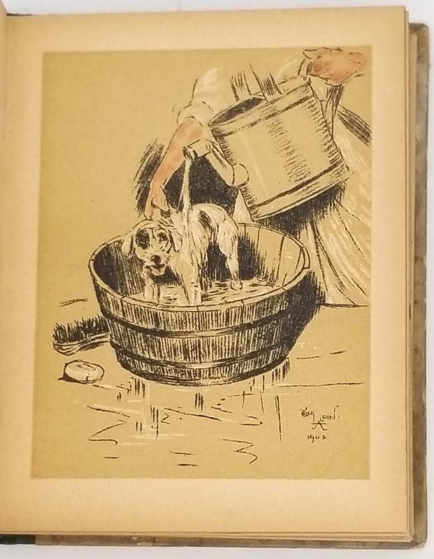 A Dog Day - Cecil Aldin 1902