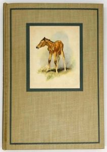 The Red Pony - John Steinbeck 1945