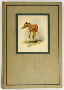 The Red Pony - John Steinbeck 1945