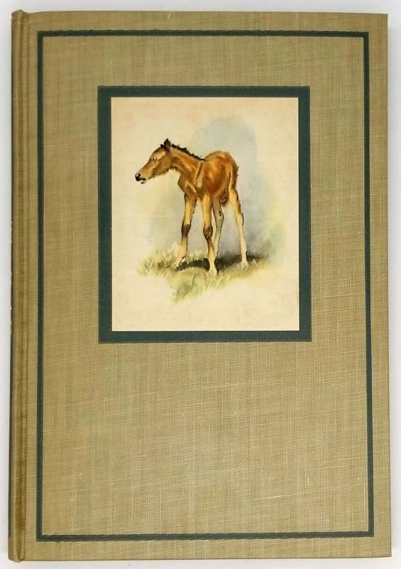 The Red Pony - John Steinbeck 1945
