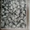 Blossoms Among Blossoms - Rimantas Dichavicius 1990