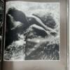 Blossoms Among Blossoms - Rimantas Dichavicius 1990
