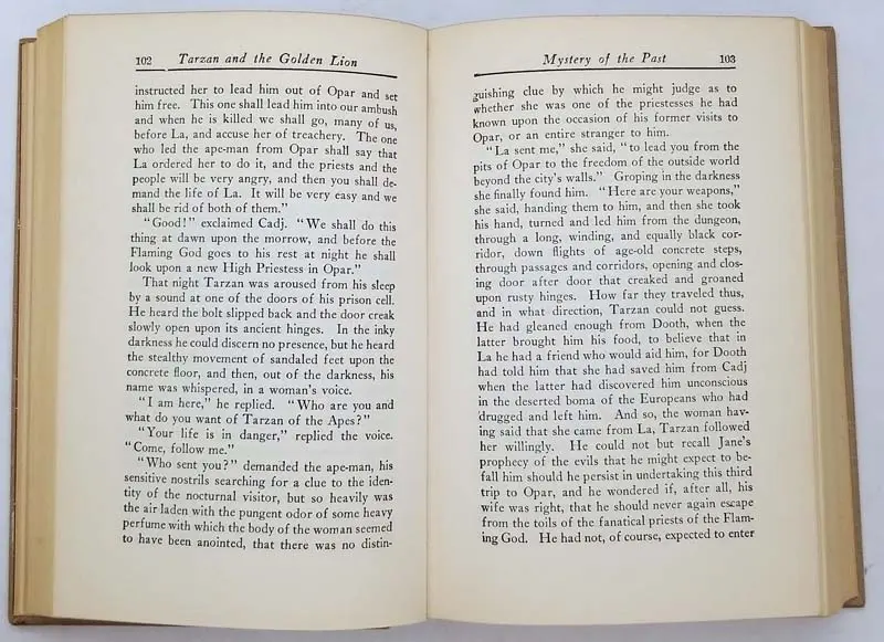 Tarzan and the Golden Lion – Edgar Rice Burroughs 1923 - Image 7