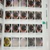 Rolex: 3,621 Wristwatches - Kesaharu Imai 2009