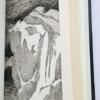 Haunted Looking Glass a Collection of Ghost Stories - Edward Gorey 1984