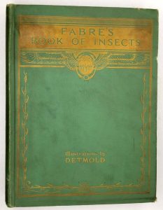 Fabre's Book of Insects - E J. Detmold 1921