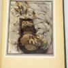 Fabre's Book of Insects - E J. Detmold 1921