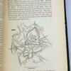 A History of Rome - Henry G. Liddell 1855