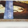 Ollie's Odyssey - William Joyce 2016 | 1st Edition