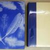 Trust Me - John Updike 1987 | Limited Edition SIGNED