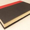 Congo - Michael Crichton 1980 | 1st Edition
