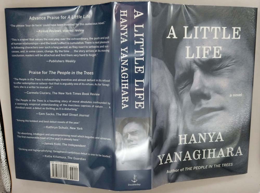 REVIEW: 'A Little Life' — Hanya Yanagihara, by Blue Book Dragon