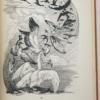 Matabele Fireside Tales - Phyllis Savory 1962 | 1st Edition