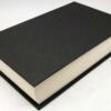 Game of Thrones- George R. R. Martin 1996 | 1st Edition
