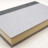 Prince of Thorns - Mark Lawrence 2011 | 1st Edition
