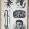 The Uncivilized Races of Men - J. G. Wood 1870 | 1st Edition