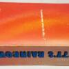 Gravity's Rainbow - Thomas Pynchon 1973 | 1st Edition