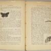 Treatise on some of the insects Injurious to Vegetation - Thaddeus William Harris 1883