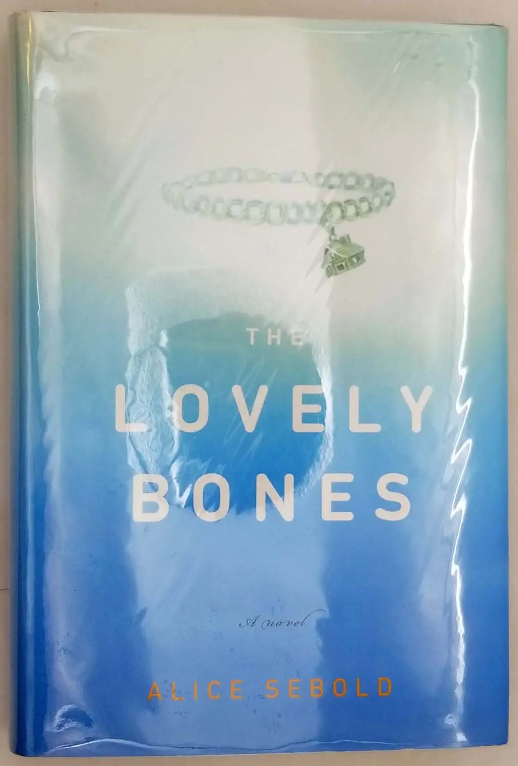 The Lovely Bones - Alice Sebold 2002 | 1st Edition The Lovely Bones - Alice Sebold 2002 | 1st Edition