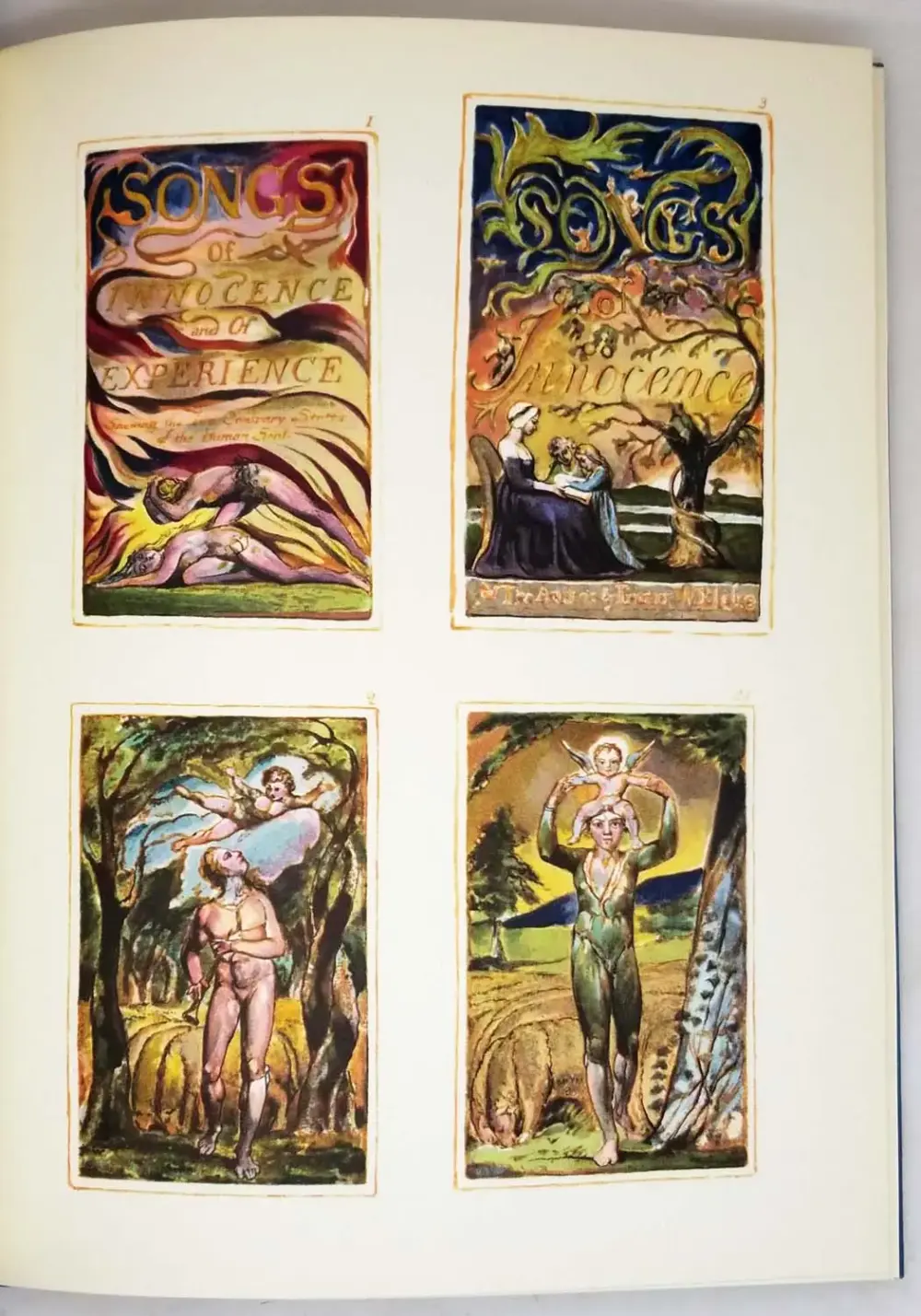 A Study of the Illuminated Books of William Blake - Geoffrey Keynes 1964 | 1st Edition