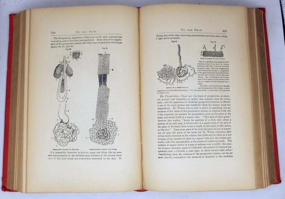 The Hydropathic Family Physician - Joel Shew 1874