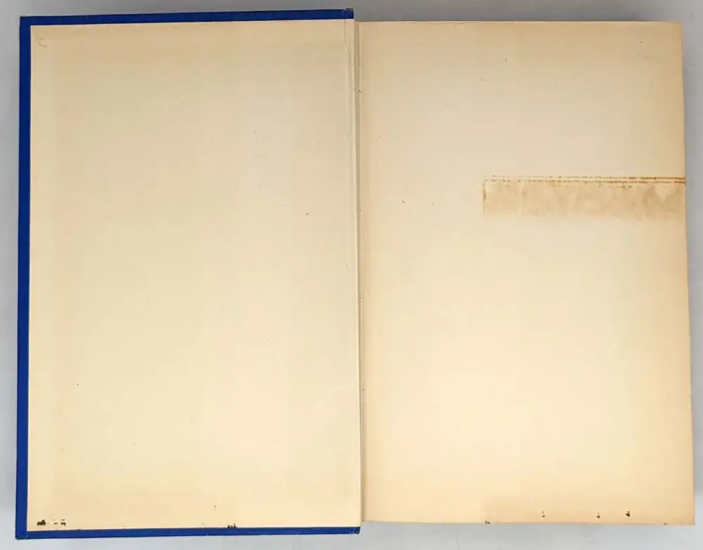 Tarzan the Invincible - Edgar Rice Burroughs 1931 | 1st Edition