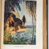 Westward Ho! - Charles Kingsley 1933 - (Illus. N.C. Wyeth )
