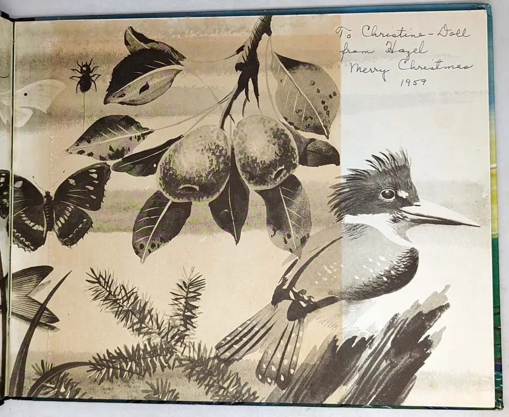 The Little Island - Margaret Wise Brown 1946