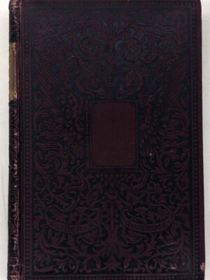 Andersen's Fairy Tales - Hans Christian Andersen 1880s