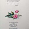 The Springs of Joy - Tasha Tudor 1979 | 1st Edition