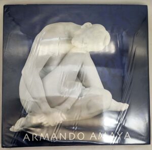 Armando Amaya - Marcela Sanchez Mota 2001