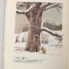 Pooh Story Book - A.A. Milne 1965 | Illus. E.H. Shepard