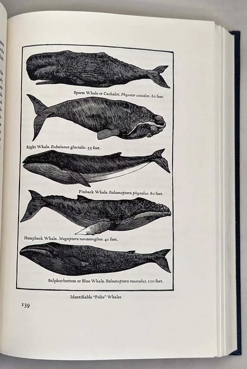 Moby-Dick - Herman Melville 1979 | Illus. Barry Moser