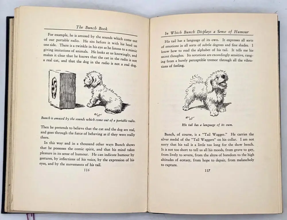 The Bunch Book, Illus. Cecil Aldin 1932 | 1st edition