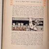 The Rose and the Ring - W.M. Thackeray 1907