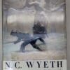 N.C. Wyeth: A Biography - David Michaelis 1998